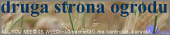 [Rozmiar: 25747 bajtów]